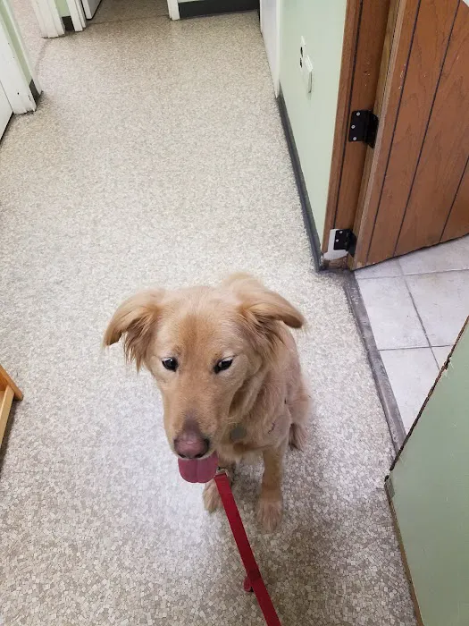 Marymont Animal Hospital Inc 1