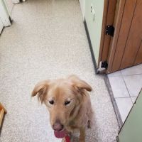 Marymont Animal Hospital Inc ico