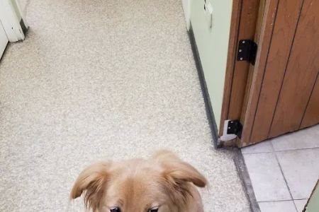 Marymont Animal Hospital Inc