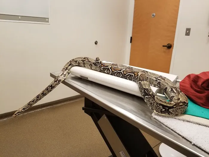 Gambrills Veterinary Center 8
