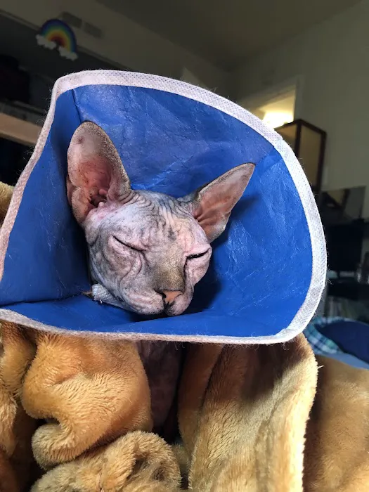 Gambrills Veterinary Center 9