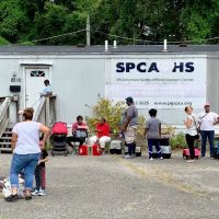 SPCA-Humane Society Spay/Neuter Clinic ico