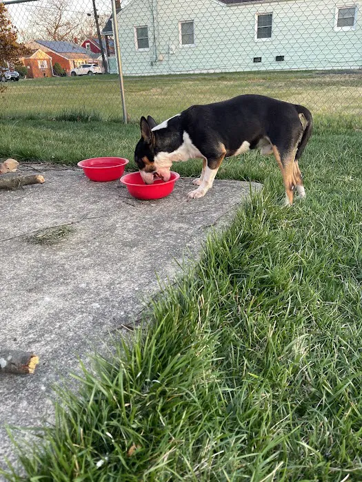 SPCA-Humane Society Spay/Neuter Clinic 12