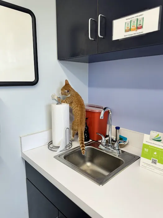 VCA Coolridge Animal Hospital 12