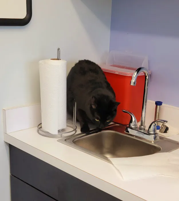 VCA Coolridge Animal Hospital 12