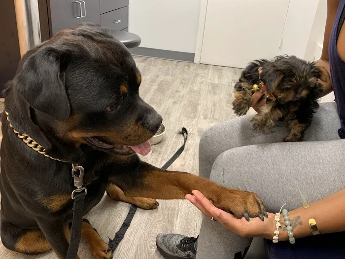 VCA Coolridge Animal Hospital 12