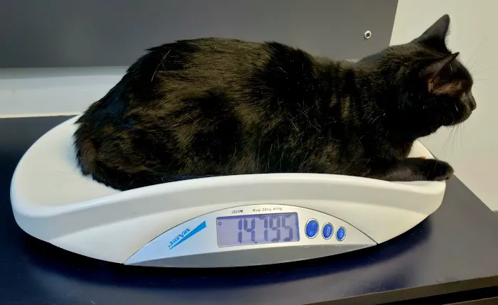 VCA Coolridge Animal Hospital 12