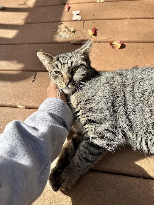 All Paws Veterinary Center 4
