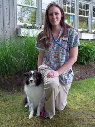 Highway Veterinary Hospital 3