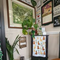 River Oaks Veterinary Clinic ico