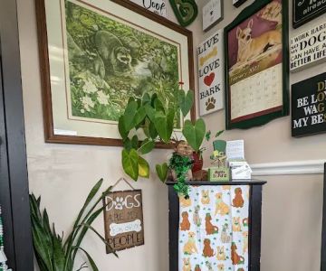 River Oaks Veterinary Clinic