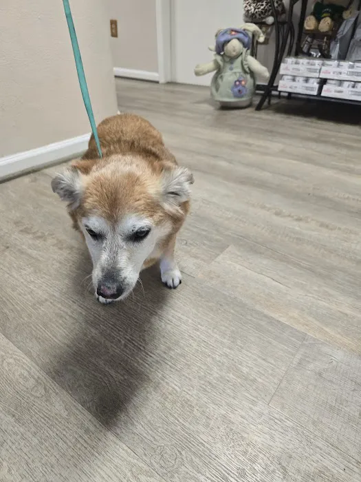 River Oaks Veterinary Clinic 9