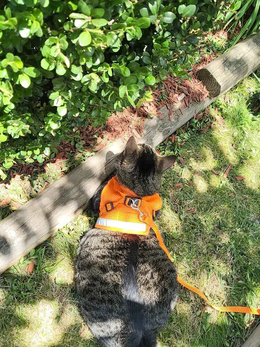 River Oaks Veterinary Clinic 10