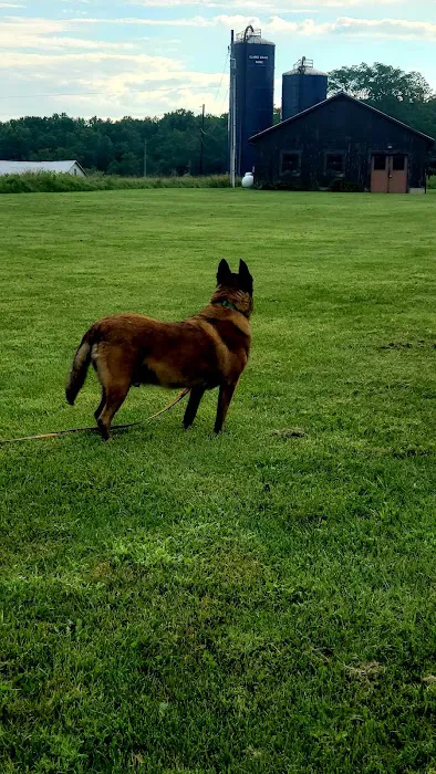 Fort Hunt Animal Hospital 1
