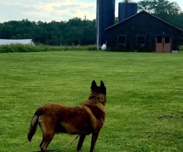 Fort Hunt Animal Hospital
