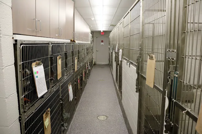 Fort Hunt Animal Hospital 7