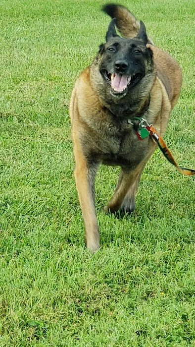 Fort Hunt Animal Hospital 8