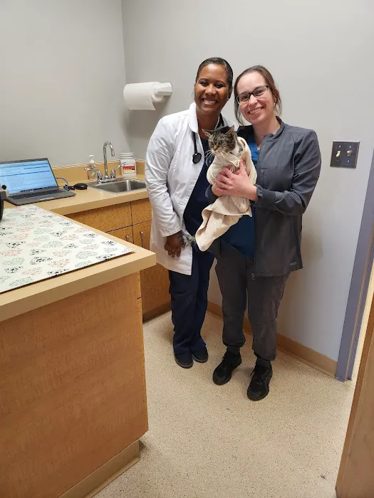 Hollin Hall Animal Hospital 2