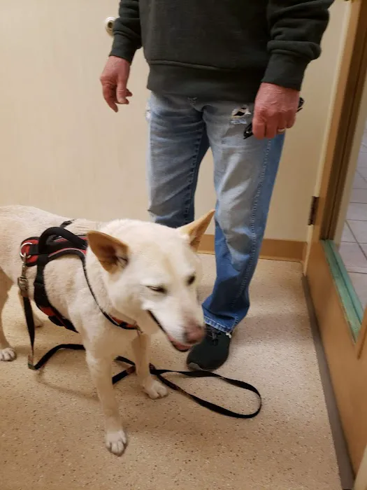 Hollin Hall Animal Hospital 1