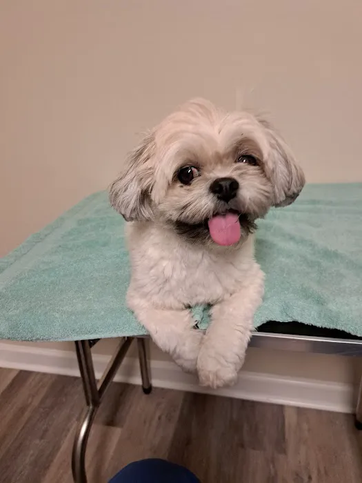 Banfield Pet Hospital 12