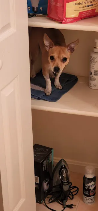 Banfield Pet Hospital 12