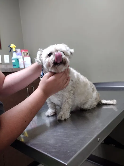 Animal Hospital of Laveen 7