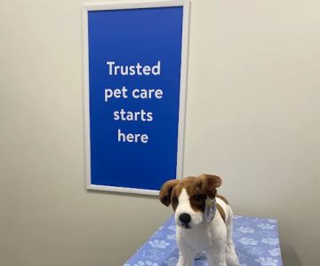 Walmart Pet Services