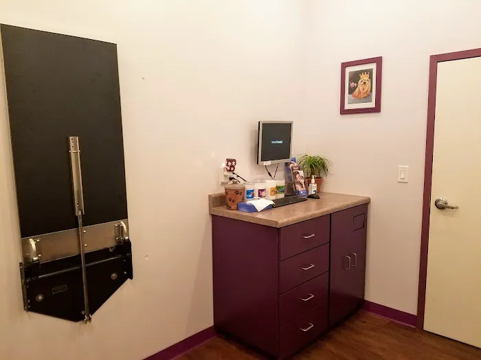 Animal House Veterinary Clinic 2
