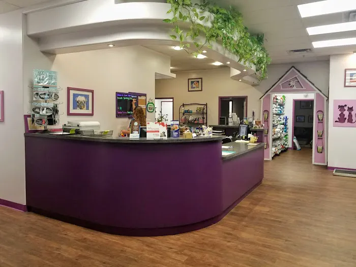 Animal House Veterinary Clinic 3