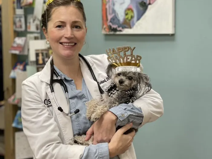 Seville Veterinary Hospital 6