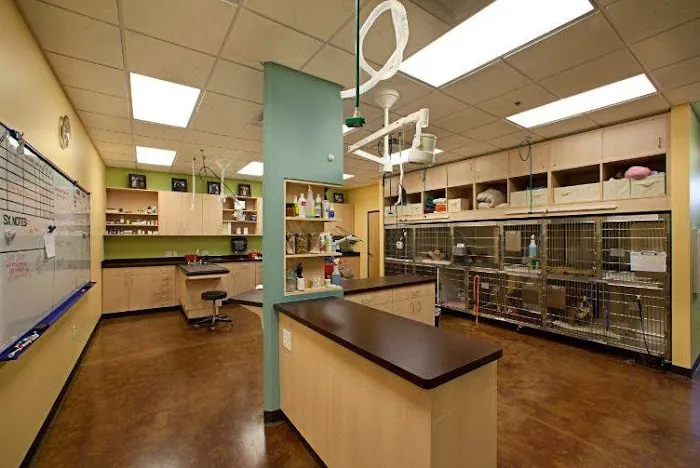 Seville Veterinary Hospital 5