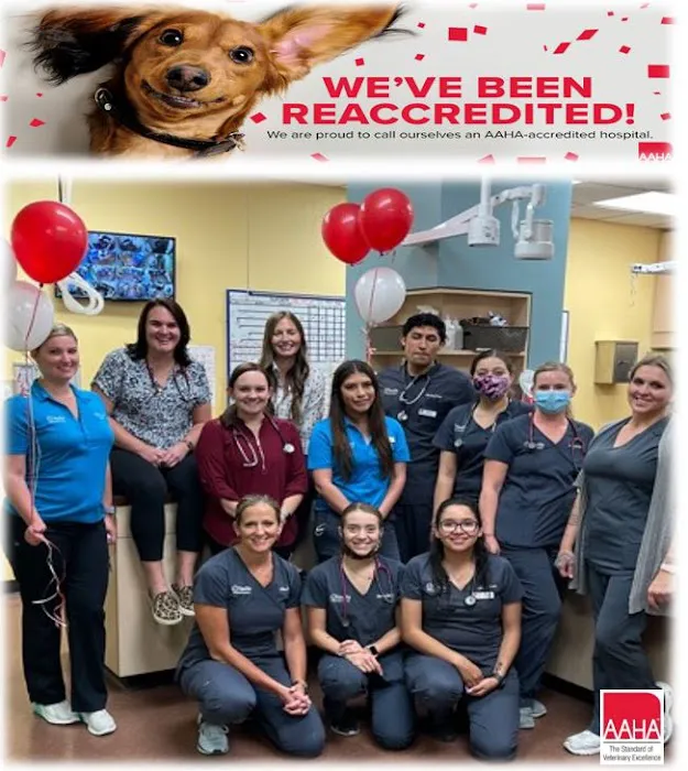 Seville Veterinary Hospital 9