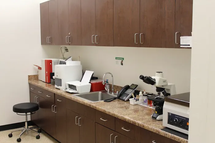 San Tan Animal Hospital 1