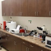 San Tan Animal Hospital ico