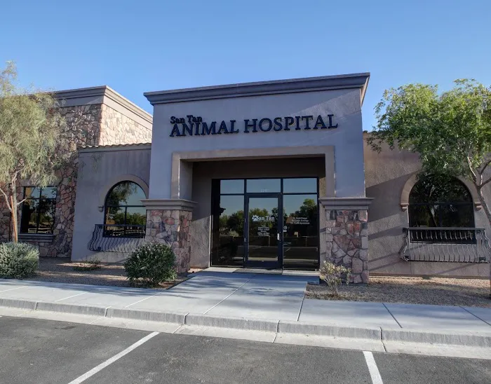 San Tan Animal Hospital 7