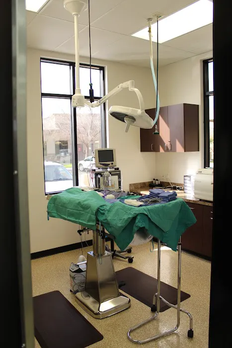 San Tan Animal Hospital 5