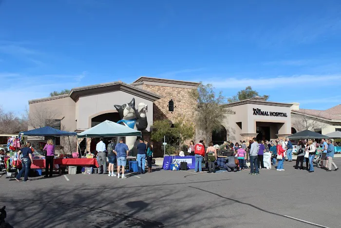 San Tan Animal Hospital 2