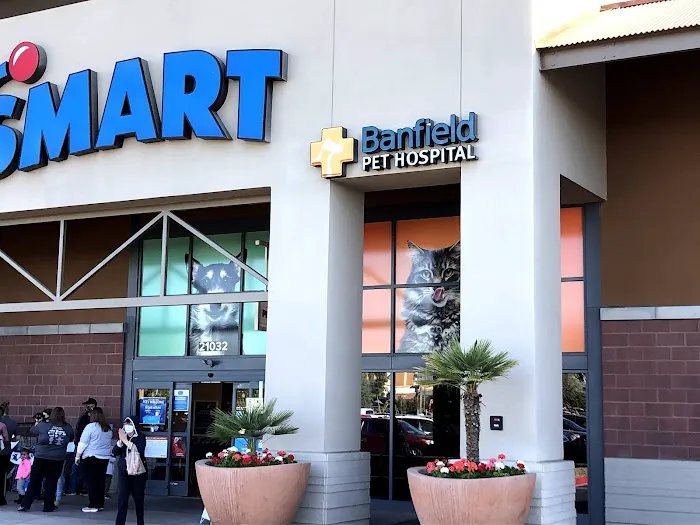 Banfield Pet Hospital 1