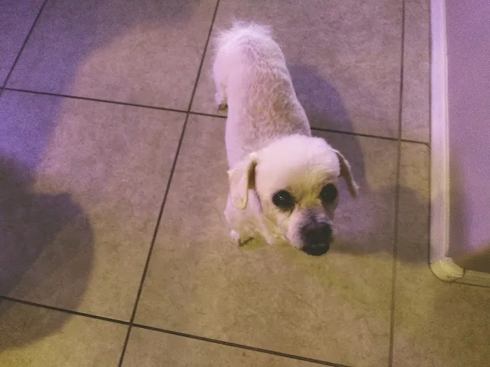 Banfield Pet Hospital 7
