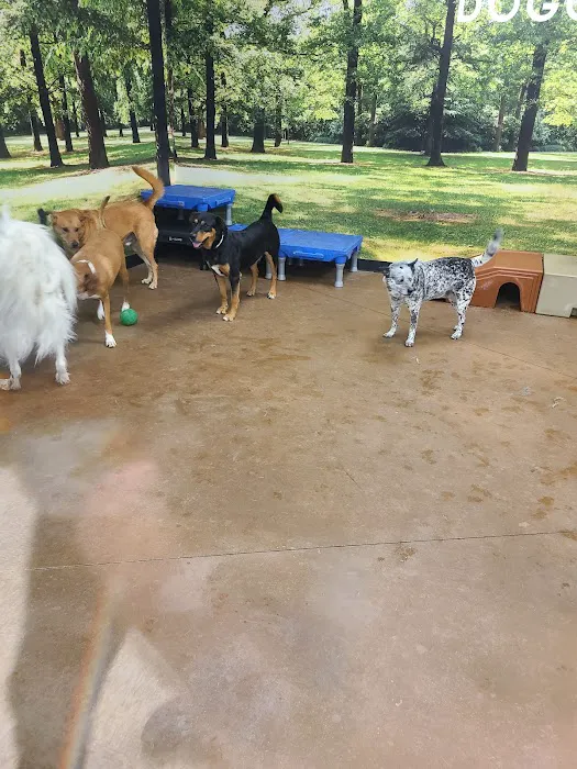 Banfield Pet Hospital 6