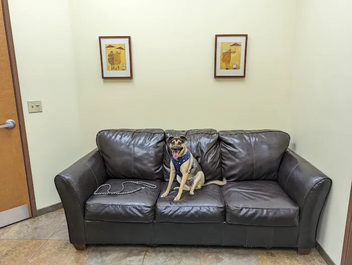 Priority Pet Hospital 4