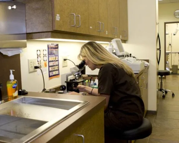 Priority Pet Hospital 5
