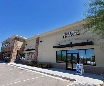 Market Street Pet Hospital