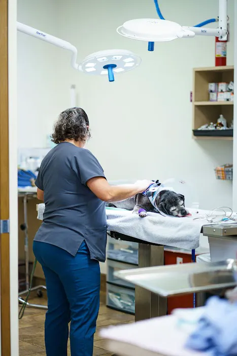 Dr. Kelly's Surgical Unit - Queen Creek 6