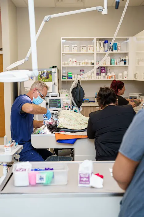 Dr. Kelly's Surgical Unit - Queen Creek 8
