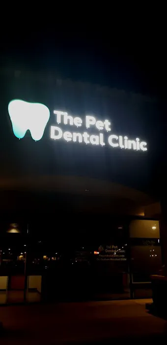 The Pet Dental Clinic 2
