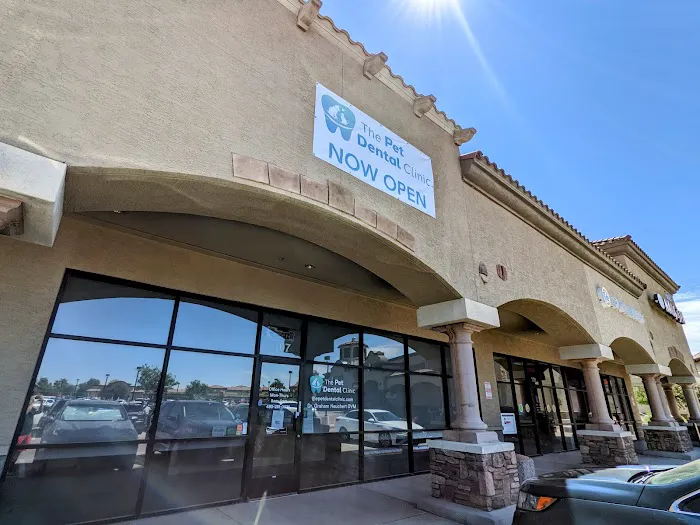The Pet Dental Clinic 8