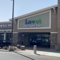 Signal Butte Animal Hospital & Grooming ico