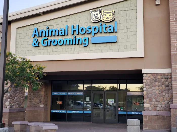 Signal Butte Animal Hospital & Grooming 12