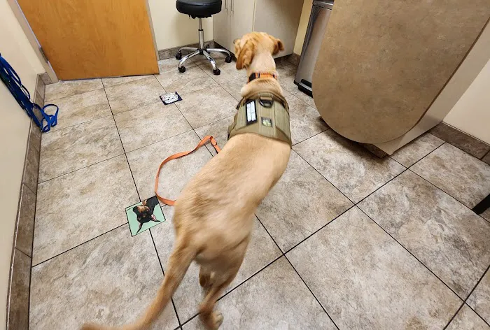Signal Butte Animal Hospital & Grooming 12